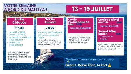 ⛵ Le programme du lundi 13 au dimanche 19 juillet ! 