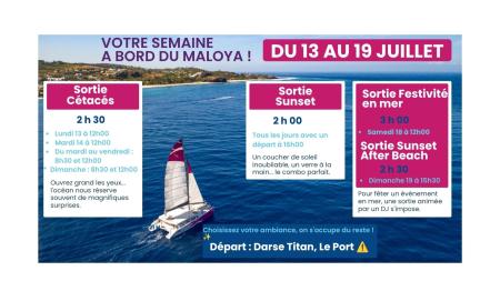 ⛵ Le programme du lundi 13 au dimanche 19 juillet ! 