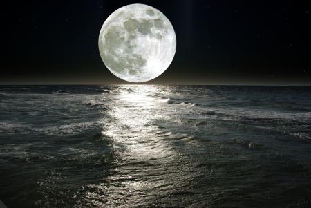 Une nuit étoilée au milieu de l'océan, ça vous tente ? ⛵✨